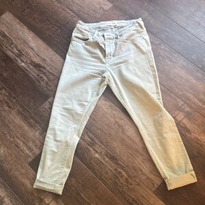 Dear John Gisele Skinny Jeans